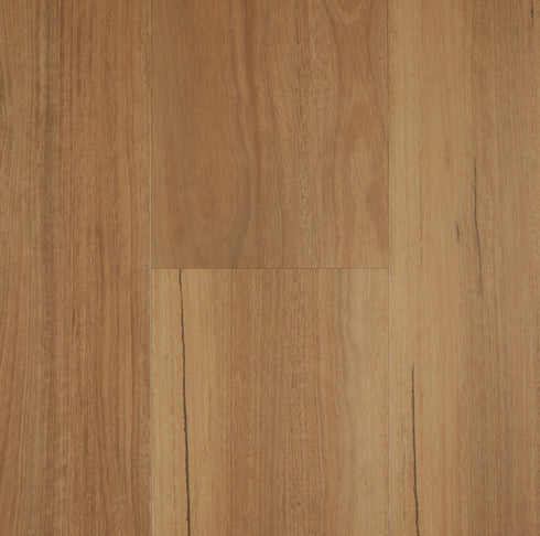 Preference Floors Lifestyle Collection Spotted Gum 12mm hybrid flooring - rich golden-amber board