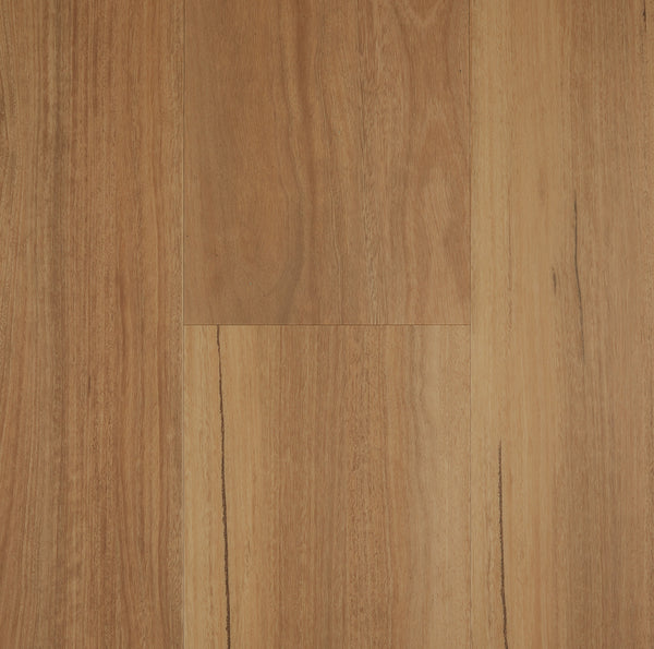 Preference Floors Lifestyle Collection Spotted Gum 12mm hybrid flooring - rich golden-amber board