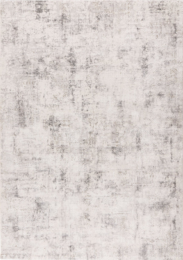 Pierre Cardin Lyon 504 Silver Transitional Rug with Faded Motif, full view