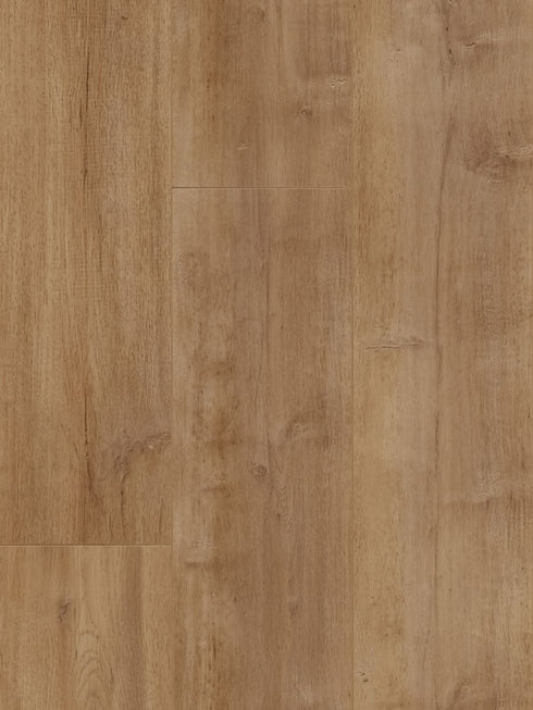 12mm Laminate - MTF - Towny Oak