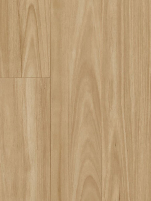 12mm Laminate - MTF - Blackbutt