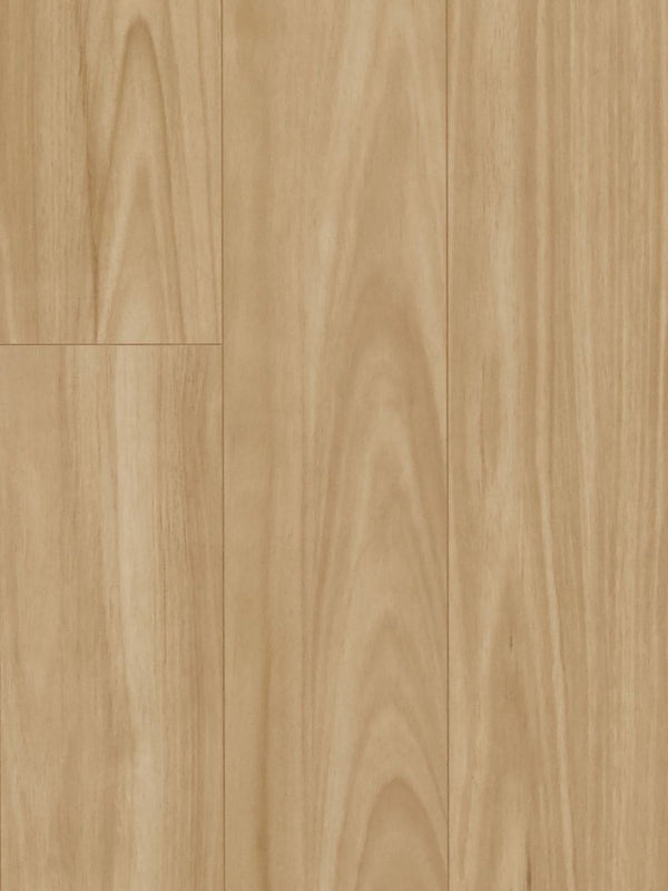 12mm Laminate - MTF - Blackbutt