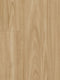12mm Laminate - MTF - Blackbutt