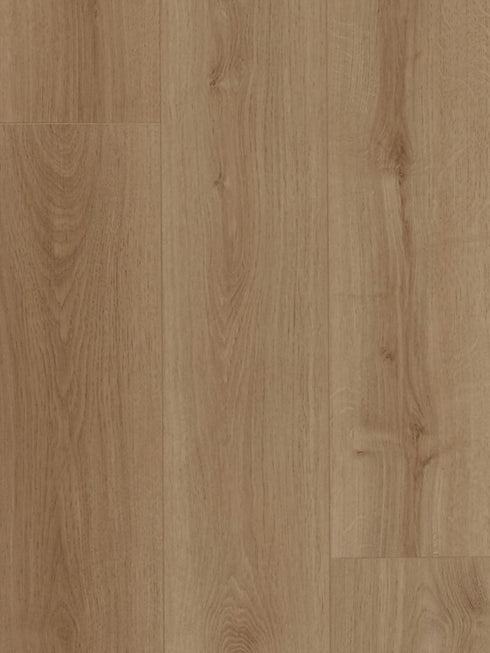 12mm Laminate - MTF - Desert Natural Oak