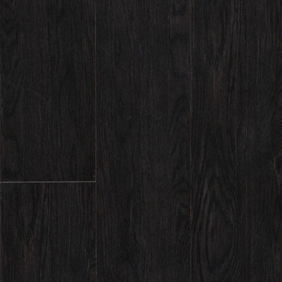 Forest Black Oak