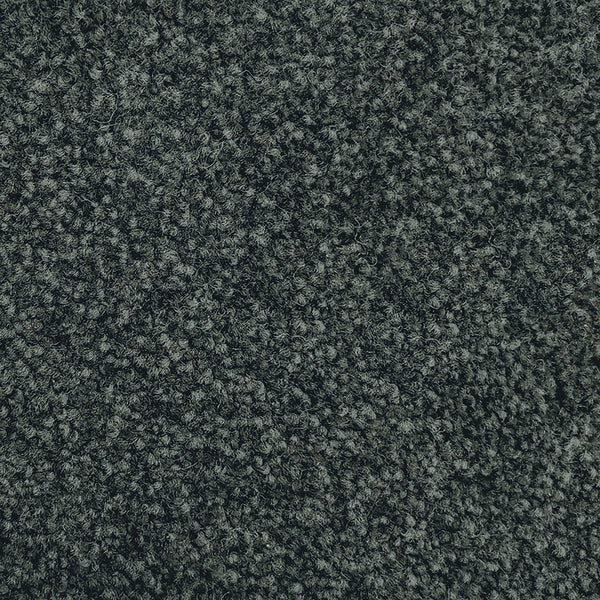 17mm Cut Pile Carpet - Riverside Reserve - Mona Vale