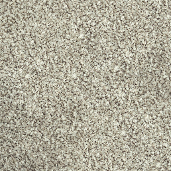 17mm Cut Pile Carpet - Riverside Reserve - Mosman