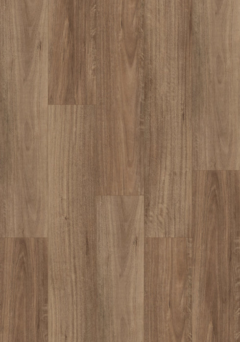 Swish Aqua NSW Spotted Gum swatch - warm pinkish-brown variegated spotted gum decor in 12.3mm laminate flooring