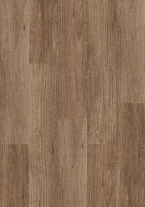 Swish Aqua NSW Spotted Gum swatch - warm pinkish-brown variegated spotted gum decor in 12.3mm laminate flooring