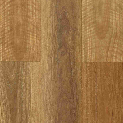 NSW Spotted Gum