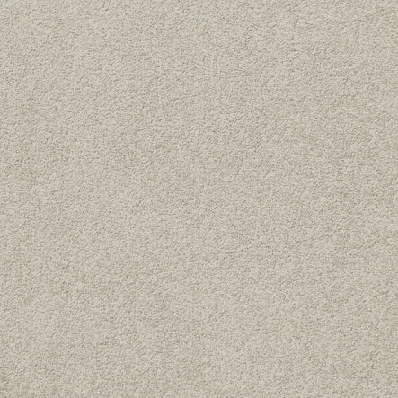 9mm Cut Pile Carpet - Naples - Little Harbour