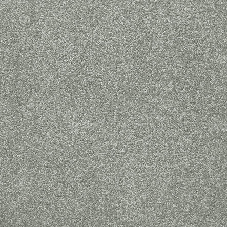 9mm Cut Pile Carpet - Naples - Pier One