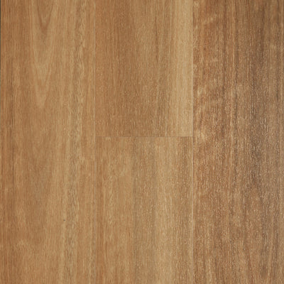Natural Spotted Gum