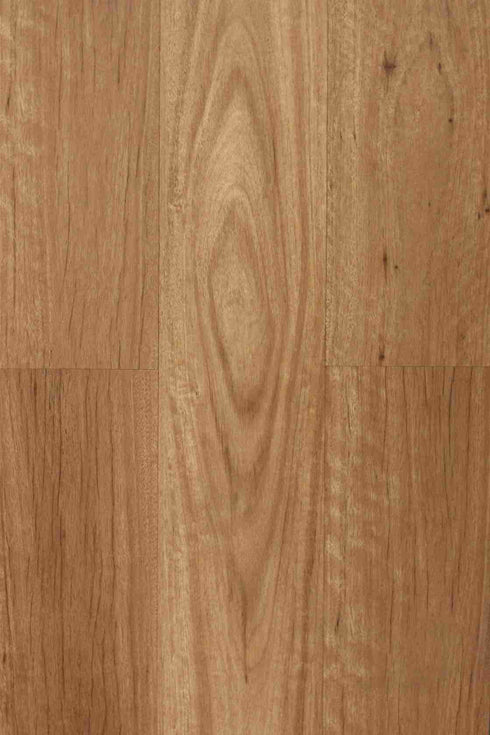 8mm RCB Hybrid - Aspire - New England Blackbutt