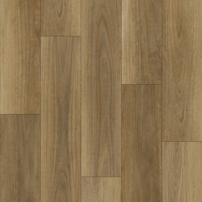 Northern Spotted Gum
