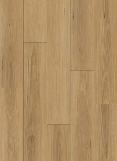 Eco Flooring Ornato Grande 9.0 Pacific Blackbutt 9mm hybrid flooring