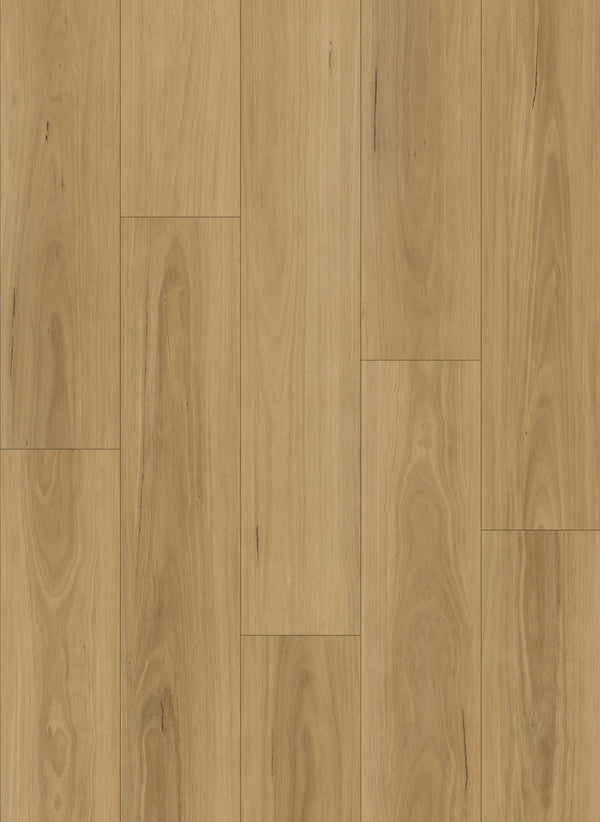 7.5mm Hybrid Flooring - Grande - Pacific Blackbutt