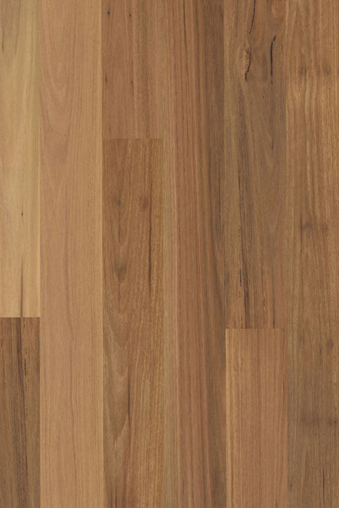 14/3mm Engineered Timber - Pioneer Satin - Blackbutt