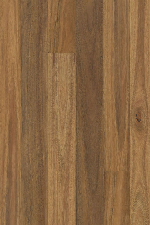14/3mm Engineered Timber - Pioneer Satin - Spotted Gum