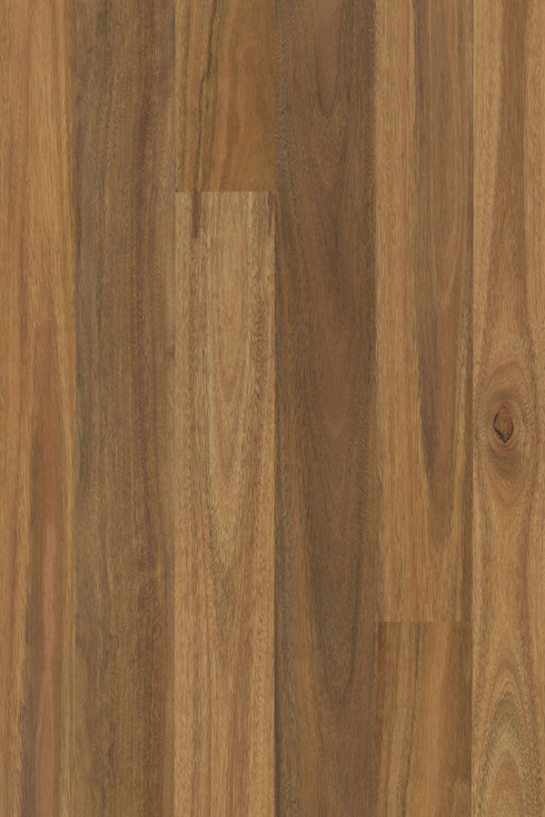 14/3mm Engineered Timber - Pioneer Satin - Spotted Gum
