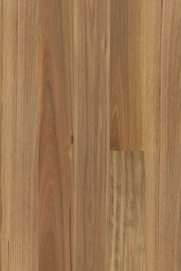14/3mm Engineered Timber - Pioneer Brushed - Blackbutt