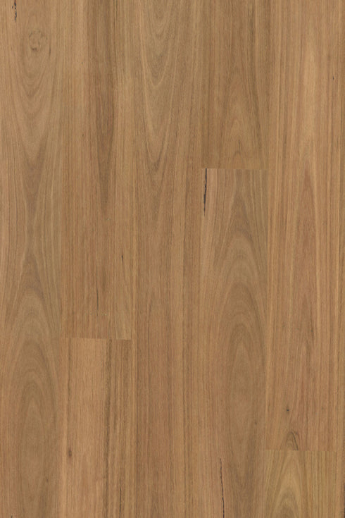 14/3mm Engineered Timber - Pioneer Brushed - Spotted Gum