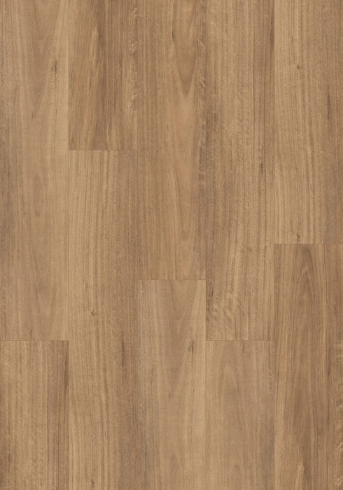 Swish Aqua QLD Spotted Gum swatch - deep chocolate-brown spotted gum decor in 12.3mm laminate flooring