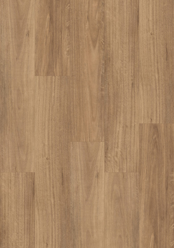 Swish Aqua QLD Spotted Gum swatch - deep chocolate-brown spotted gum decor in 12.3mm laminate flooring