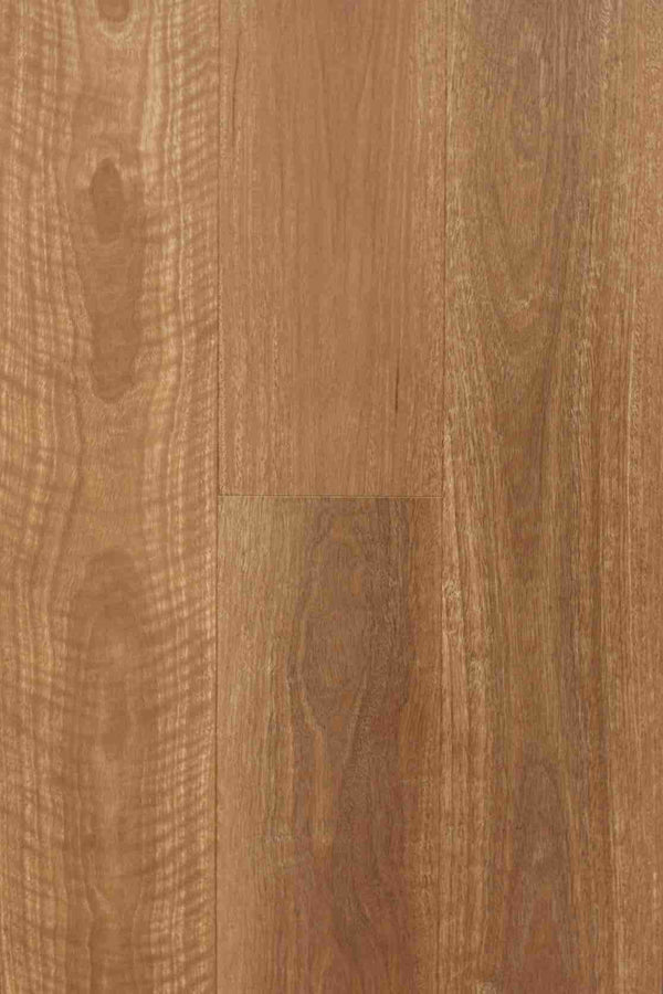 8mm RCB Hybrid - Aspire - QLD Spotted Gum