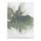 Sena 004 Green Watercolour Floral Rug