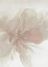 Sena 006 Pink Watercolour Floral Rug, full view