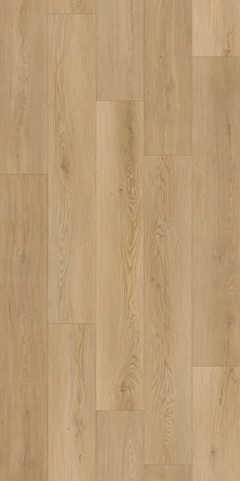 Swish Laminate Magnolia swatch - creamy warm blonde decor in 12mm laminate flooring