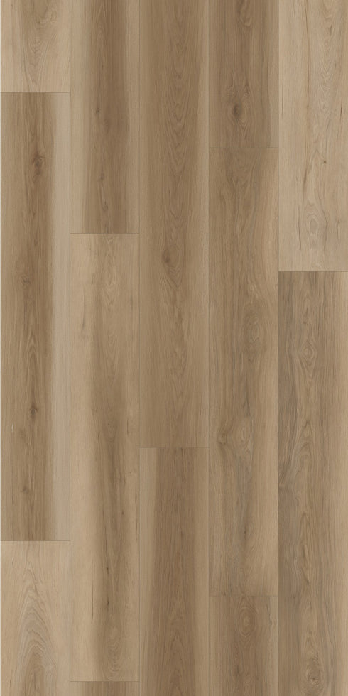 Swish Laminate Vivid swatch - high-contrast characterful grain decor in 12mm laminate flooring