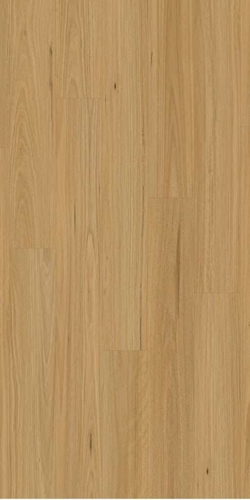 Swish Laminate Blackbutt Light swatch - pale blonde Australian blackbutt decor in 12mm laminate flooring