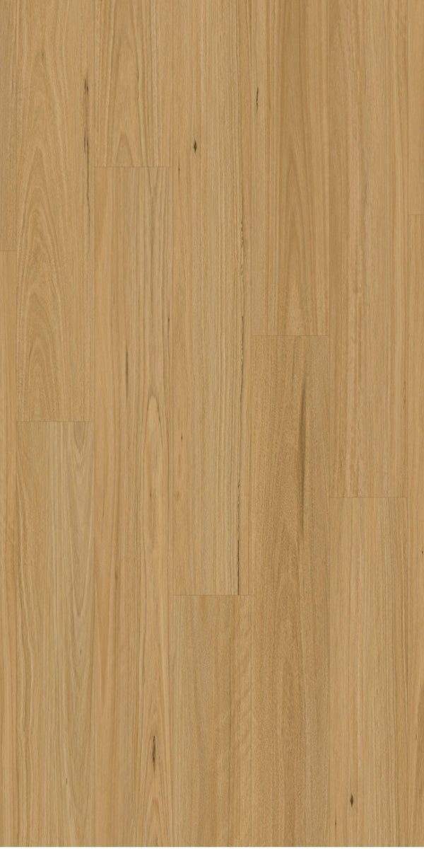Swish Laminate Blackbutt Light swatch - pale blonde Australian blackbutt decor in 12mm laminate flooring