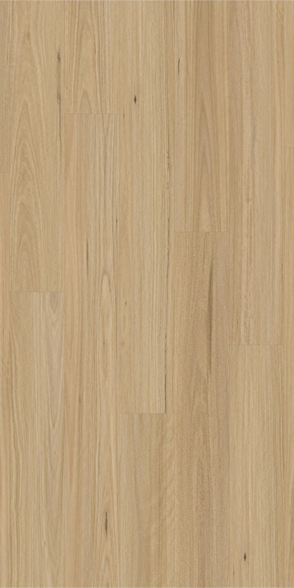 Swish Laminate New England Blackbutt swatch - golden mid-tone blackbutt decor in 12mm laminate flooring