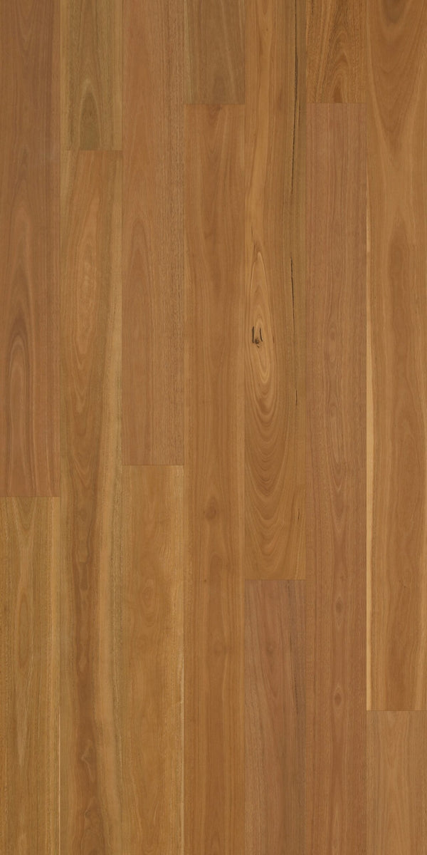 Swish Native Hardwood Spotted Gum Neat clean ABC grade warm caramel Australian hardwood flooring swatch