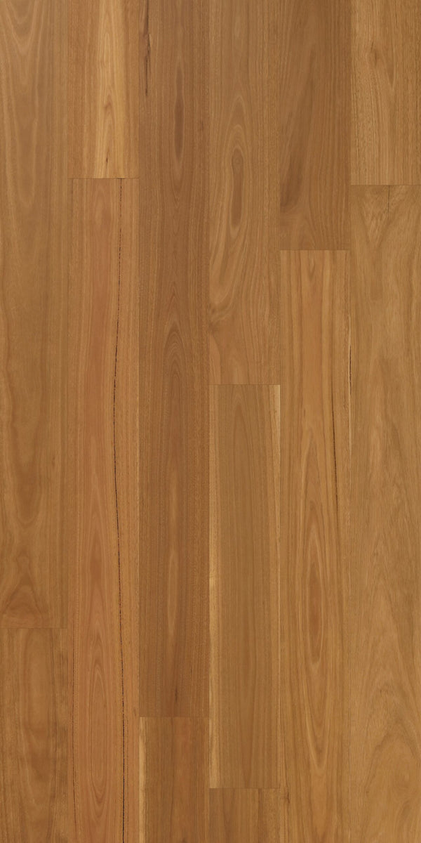Swish Native Hardwood Spotted Gum Natural ABCD grade warm golden brown Australian hardwood flooring swatch