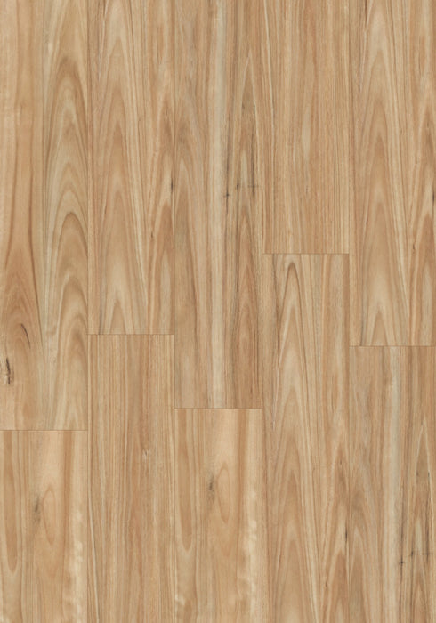 Swish Aqua Smooth Blackbutt swatch - even low-contrast pale honey blackbutt decor in 12.3mm laminate flooring