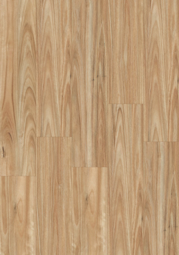 Swish Aqua Smooth Blackbutt swatch - even low-contrast pale honey blackbutt decor in 12.3mm laminate flooring