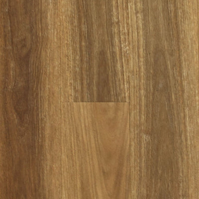 Spotted Gum