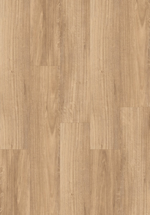 Swish Aqua Spotted Gum Light swatch - pale caramel spotted gum decor in 12.3mm laminate flooring