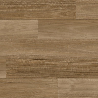 Spotted Gum