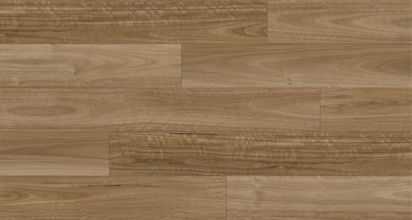 Ornato Spotted Gum 5.3mm looselay vinyl plank swatch in muted grey brown taupe with banded native timber grain
