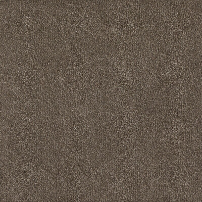 Sumptuous - English Toffee - 12mm Carpet