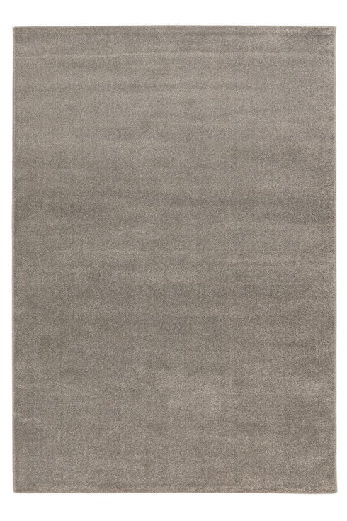 Grey Carpet - Adore Rugs & Flooring