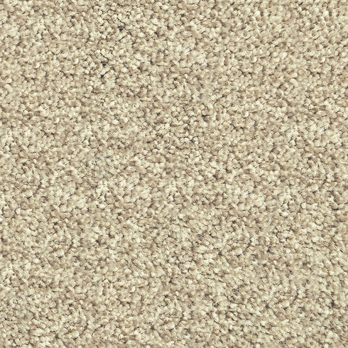 17mm Cut Pile Carpet - Riverside Reserve - Waverly