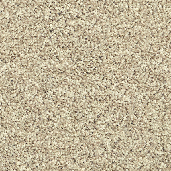 17mm Cut Pile Carpet - Riverside Reserve - Waverly
