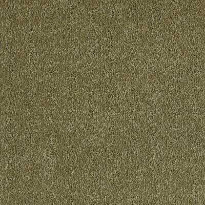 Westminster - Empath - 9.5mm Commercial Carpet