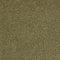 Westminster - Empath - 9.5mm Commercial Carpet